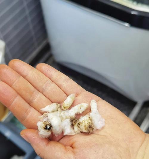 如何根据肤质选择洗浴用品？正确护理让洗澡成为享受