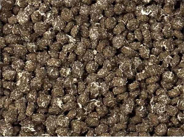 高蛋白无谷物猫粮全方位测评，新手养猫如何挑选优质主粮