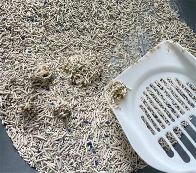 1:3:6混合猫砂深度测评:平价之选的实际表现如何? 1:3:6混合猫砂深度测评:平价之选的实际表现如何?