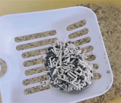 1:3:6混合猫砂深度测评:平价之选的实际表现如何? 1:3:6混合猫砂深度测评:平价之选的实际表现如何?