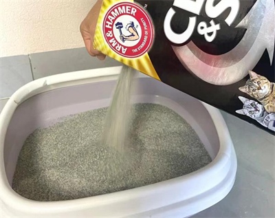 进口矿砂深度测评：结团除臭表现优异，多猫家庭适用性分析
