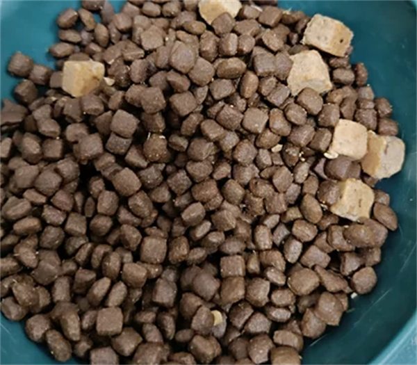 冻干猫粮全面测评：营养价值、适口性与性价比深度分析