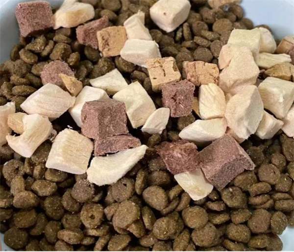 高端猫粮深度测评：高鲜肉含量与肠胃友好性解析