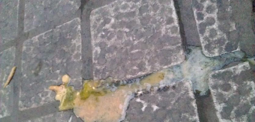 细小早期粪便变化：识别症状与及时就医指南