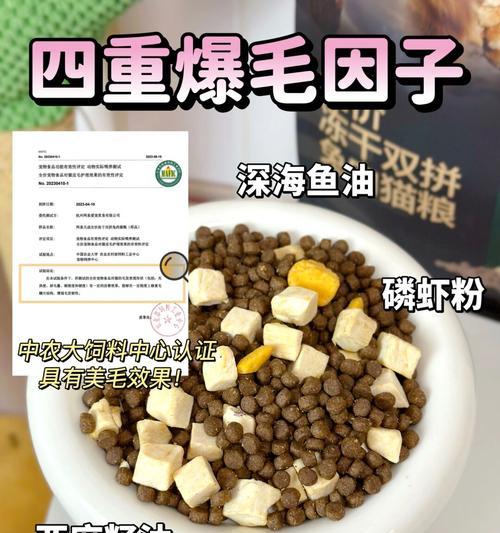 解决猫咪爆毛困扰：饮食调理与科学护理全攻略
