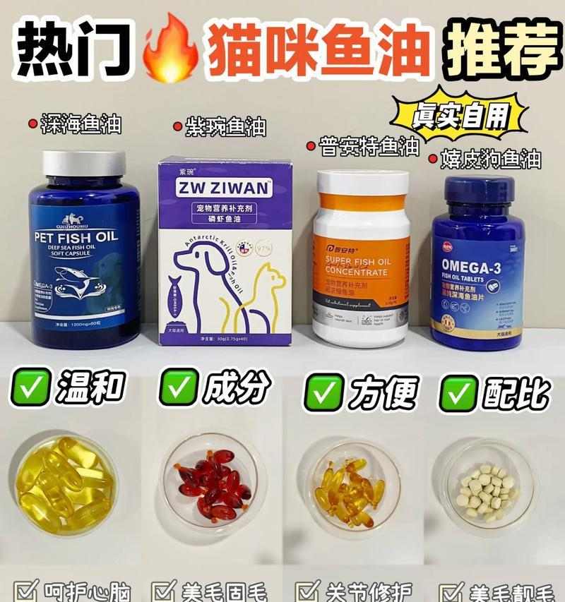 解决猫咪爆毛困扰：饮食调理与科学护理全攻略