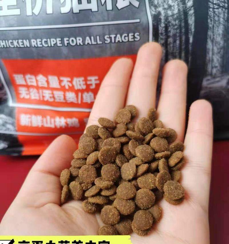 解决猫咪爆毛困扰：饮食调理与科学护理全攻略