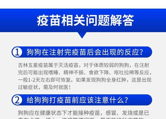 狗狗翻肠打什么针?宠物常见疾病预防针剂全指南 狗狗翻肠打什么针?宠物常见疾病预防针剂全指南