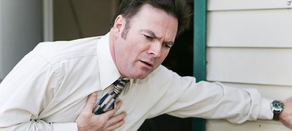 比熊犬气管炎的症状识别与综合治疗指南