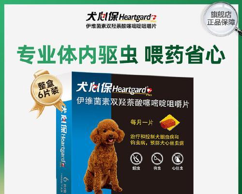 如何为狗狗选择体外驱虫药？常见类型与适用指南