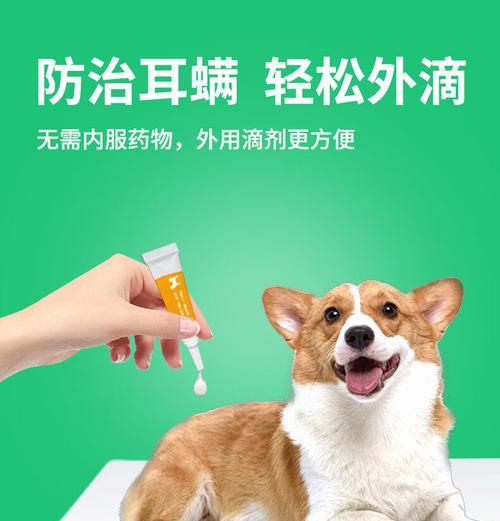 如何为狗狗选择体外驱虫药？常见类型与适用指南