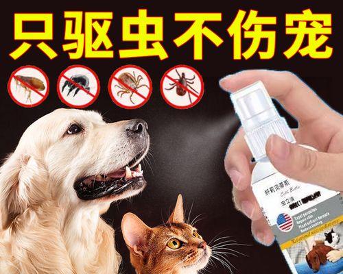 如何为狗狗选择体外驱虫药？常见类型与适用指南