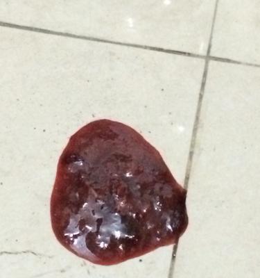 成年狗便血原因分析与应对方法，守护爱犬健康