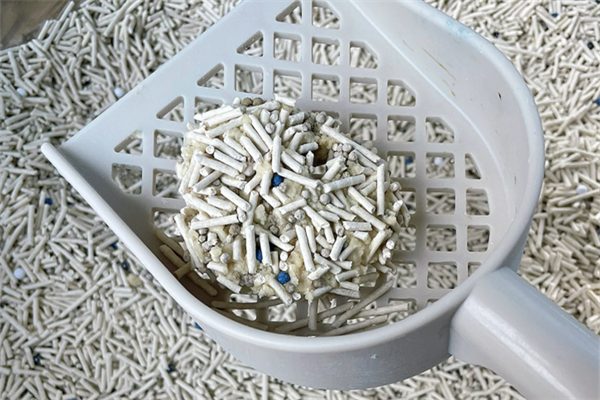 猫砂更换全指南:科学频率与关键影响因素详解 猫砂更换全指南:科学频率与关键影响因素详解