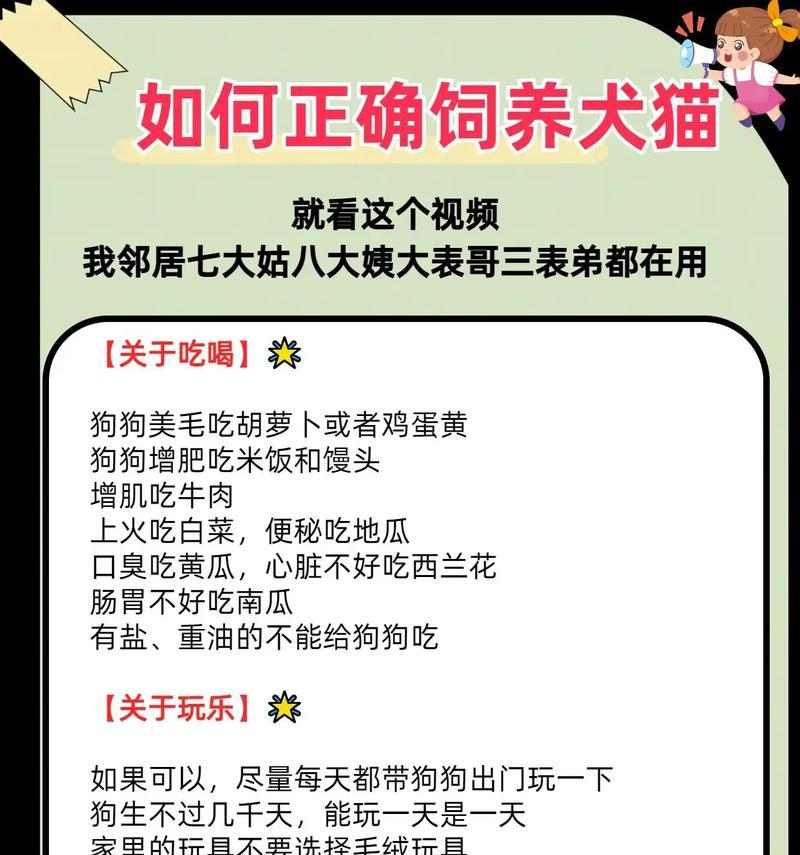 狗皮肤病常用药物指南：如何为爱犬选择正确治疗方案