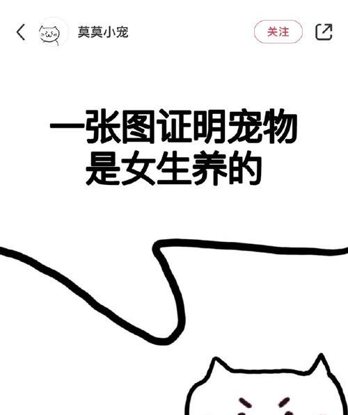 适合小女孩的宠物推荐：贴心陪伴与成长培养指南