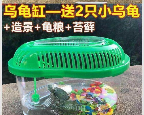 适合小女孩的宠物推荐：贴心陪伴与成长培养指南