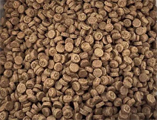 高蛋白低淀粉烘焙猫粮测评：营养分析与适口性探讨