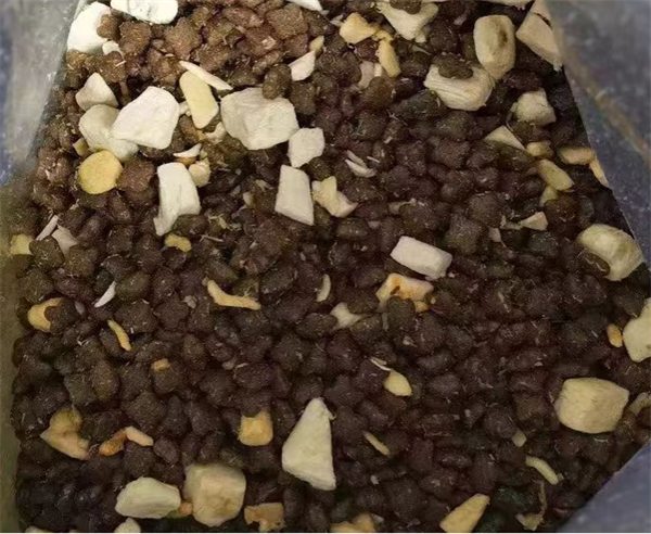 鳕鱼虾味冻干猫粮深度测评：高蛋白配方是否值得入手？