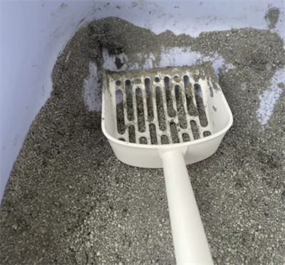 矿砂深度测评：颗粒细腻结团强，但易带出问题需注意