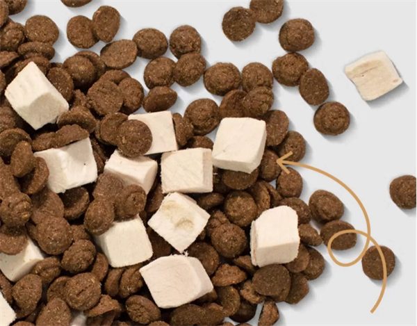 中小型犬烘焙粮配方营养与适口性深度评测，选购要点解析