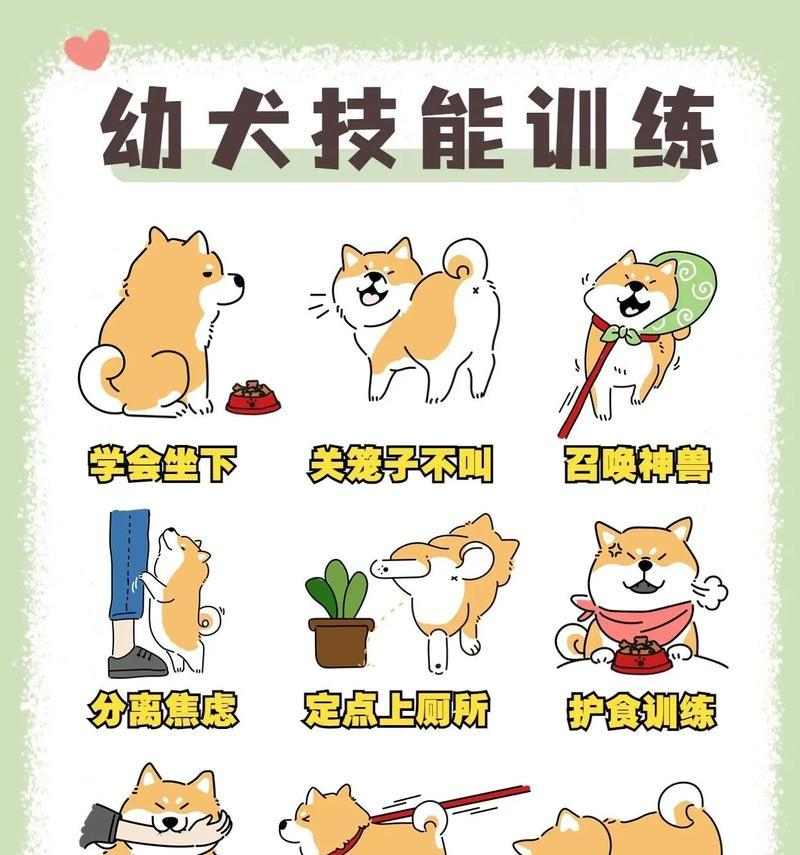 科学训练小狗的方法与时机指南,培养听话友善的宠物伙伴 科学训练小狗的方法与时机指南,培养听话友善的宠物伙伴