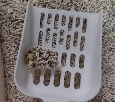 混合猫砂实测:结团除臭效果优秀,使用体验佳但价格偏高 混合猫砂实测:结团除臭效果优秀,使用体验佳但价格偏高