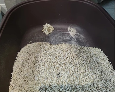 混合猫砂除臭结团效果测评：实测优缺点与性价比分析