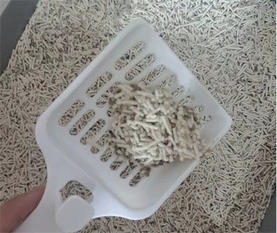 混合猫砂除臭结团效果测评：实测优缺点与性价比分析