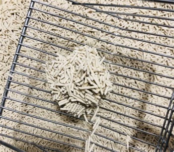 豆腐猫砂测评：结团快但易化粉，混合使用效果更佳