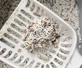 咖啡渣猫砂深度测评:结团除臭效果究竟如何? 咖啡渣猫砂深度测评:结团除臭效果究竟如何?