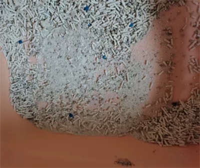 混合猫砂除臭结团效果测评：实测优缺点与性价比分析