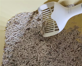 咖啡渣猫砂深度测评:结团除臭效果究竟如何? 咖啡渣猫砂深度测评:结团除臭效果究竟如何?