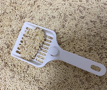 高性价比豆腐猫砂全面测评:结团快耗砂少,除臭效果中规中矩 高性价比豆腐猫砂全面测评:结团快耗砂少,除臭效果中规中矩