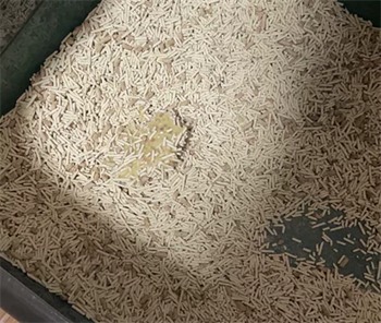 高性价比豆腐猫砂全面测评:结团快耗砂少,除臭效果中规中矩 高性价比豆腐猫砂全面测评:结团快耗砂少,除臭效果中规中矩