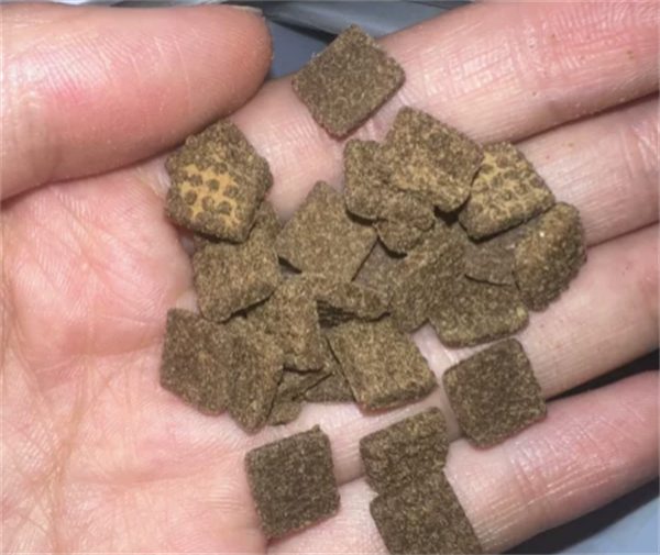 无谷物烘焙犬粮深度测评：高蛋白安全配方与营养分析