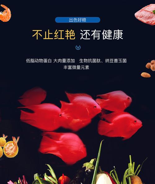 鹦鹉鱼苗饲养全攻略:饲料选择、水质管理与环境调控 鹦鹉鱼苗饲养全攻略:饲料选择、水质管理与环境调控