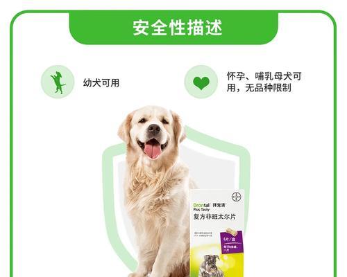 金毛幼犬驱虫指南：安全用药方法与健康管理要点