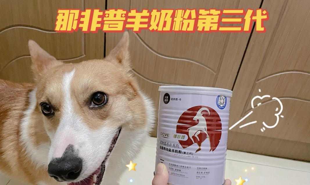 狗狗腹泻后饮食恢复指南:科学喂养助肠胃健康 狗狗腹泻后饮食恢复指南:科学喂养助肠胃健康