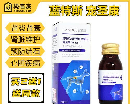 狗狗肾衰饮食调整指南：科学喂养方法与注意事项