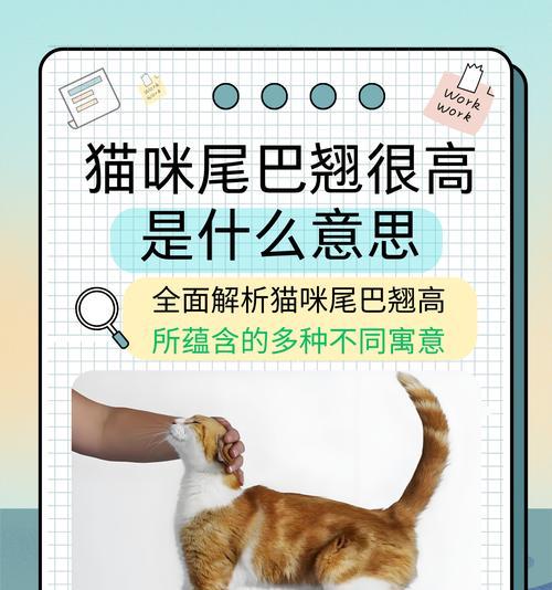 猫咪尾巴解读情绪变化的秘密：从摇摆到竖立揭示内心世界