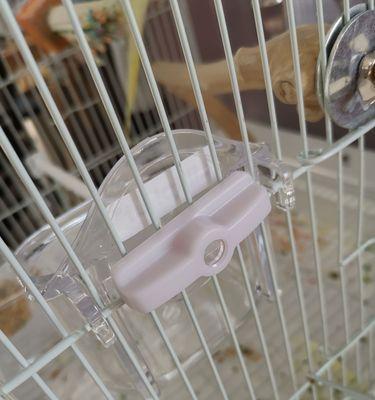 兔子食盆挑选与使用全攻略，打造健康喂养环境