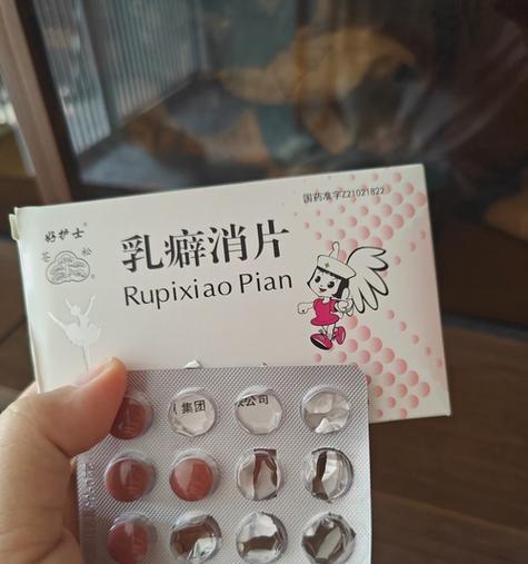 母猫产后饮食营养需求与科学喂养技巧指南 母猫产后饮食营养需求与科学喂养技巧指南