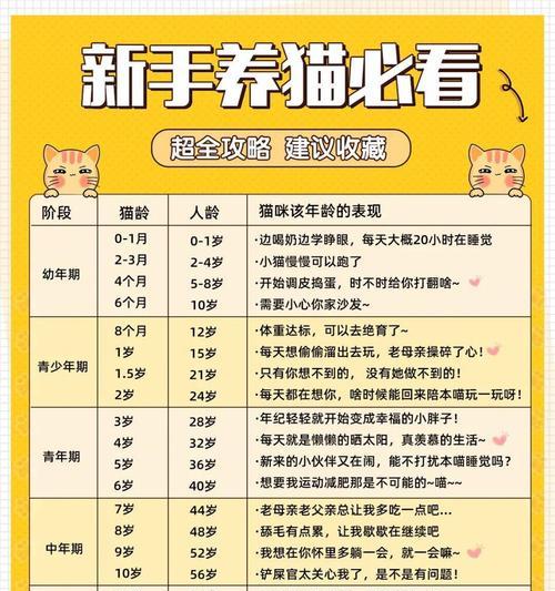 幼猫断奶时机与方法全指南，助猫咪健康成长