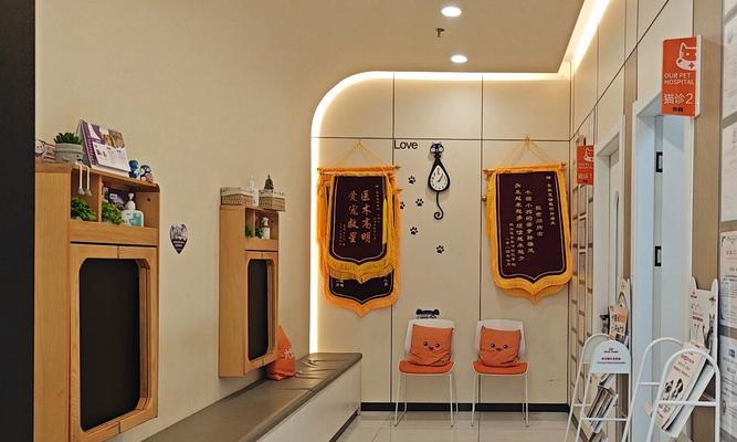 宠物医院常见疾病治疗与预防保健服务全面解读