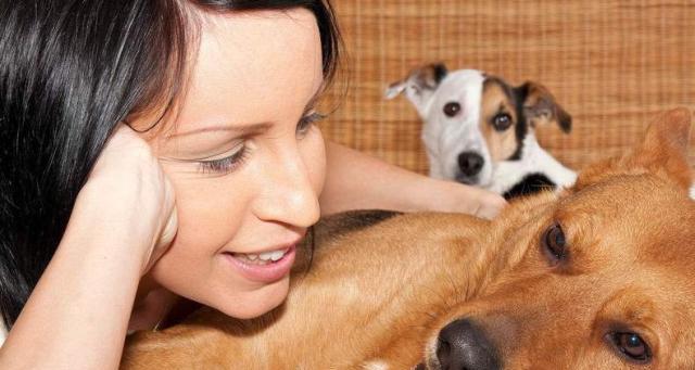 狗狗只生公崽原因探究,遗传与环境因素如何影响性别比例 狗狗只生公崽原因探究,遗传与环境因素如何影响性别比例