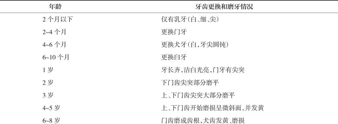 小猫门牙换牙过程与护理指南，助你守护爱宠口腔健康