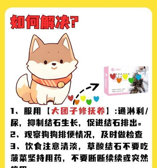 狗狗结石预防指南:饮食调整与健康生活方式关键措施 狗狗结石预防指南:饮食调整与健康生活方式关键措施
