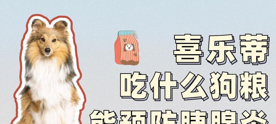 狗狗为何要吃狗粮?科学解析狗粮对犬类健康的关键作用 狗狗为何要吃狗粮?科学解析狗粮对犬类健康的关键作用