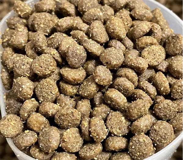 高蛋白美毛猫粮成分解析与性价比评测,助你选对主粮 高蛋白美毛猫粮成分解析与性价比评测,助你选对主粮